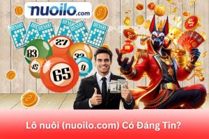 ảnh đại diện Lô nuôi (nuoilo.com) Có Đáng Tin? Đánh Giá Dịch Vụ Soi Cầu Lô Đề Từ Chuyên Gia