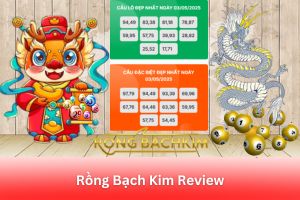 ảnh đại diện Rồng Bạch Kim Review: Nền Tảng Soi Cầu Lô Đề Với Độ Chính Xác Và Minh Bạch Cao